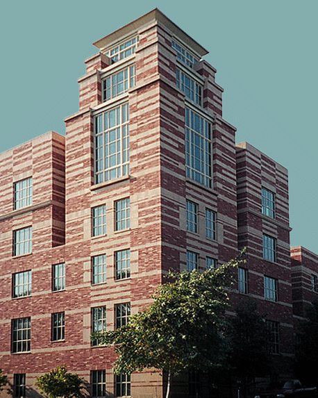 UCLA School of Law Library, Dan Kapelovitz